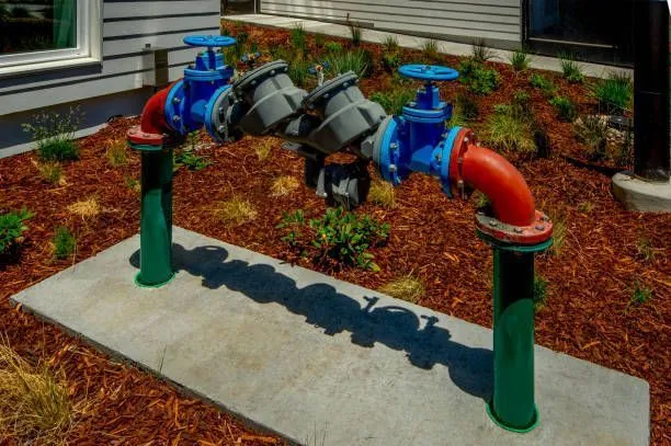 Backflow preventors